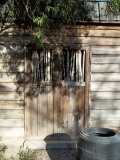 Vinette wood and shadow